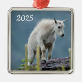 モンタナ氷河の国立公園マウンテンヤギの子 メタルオーナメント (正面)