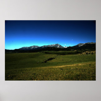 モンタナ牛のドライブ ポスター