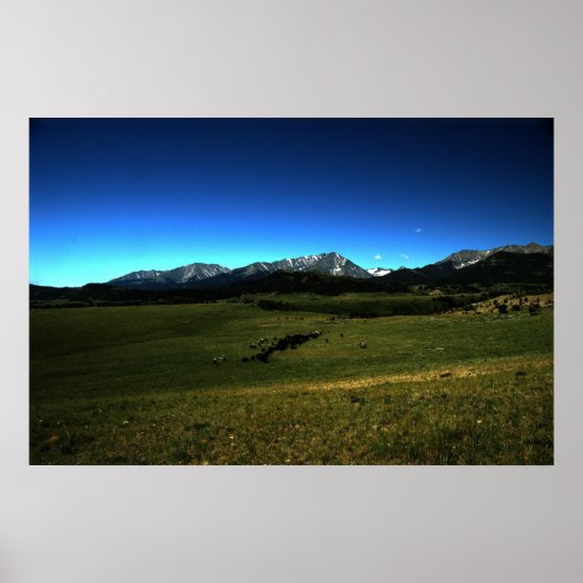 モンタナ牛のドライブ ポスター (正面)