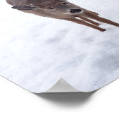 モンタナ野生生物写真の雪の中でシカ ポスター (角)