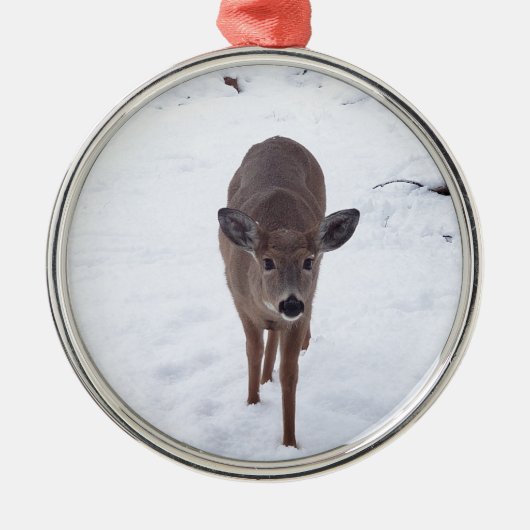 モンタナ野生生物写真の雪の中でシカ メタルオーナメント (正面)