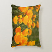 モンタナ·デ·オロ·州パーク アクセントクッション (正面(垂直))