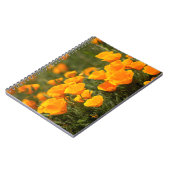 モンタナ·デ·オロ·州パーク ノートブック (左側)