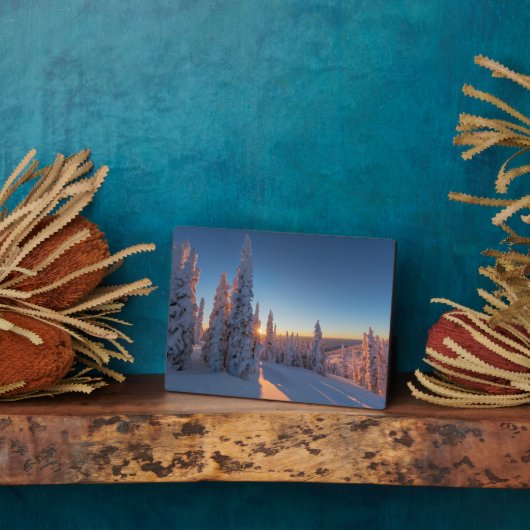 モンタナ,ホワイトフィッシュ フォトプラーク (側面)