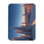 モンタナ,ホワイトフィッシュ マグネット (縦)