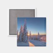 モンタナ，ホワイトフィッシュ マグネット (正面/裏面)