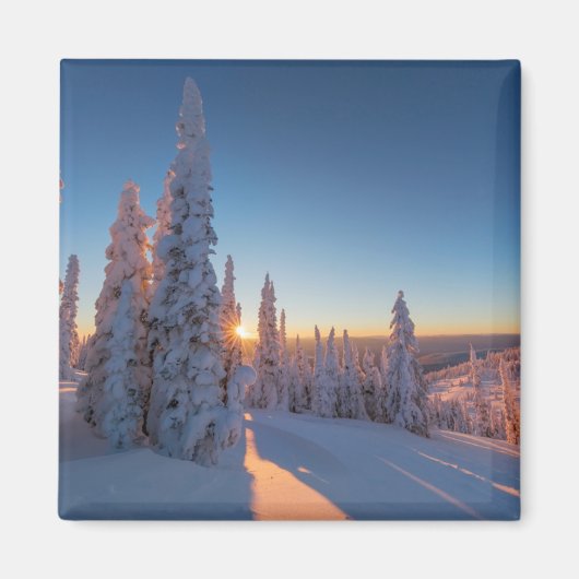 モンタナ，ホワイトフィッシュ マグネット (正面)