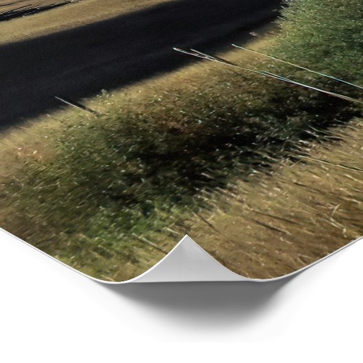 モンタナ ポスター (角)