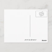 モンタナ ポストカード (裏面)