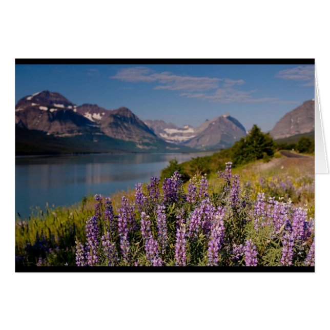 モンタナ- Kermaの芸術 (正面横)