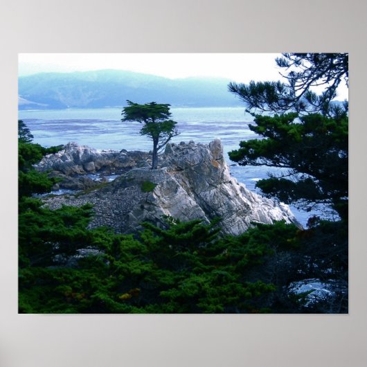 モンタリー ポスター (正面)