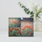 モンタージュポピー |はがき ポストカード (スタンド正面)
