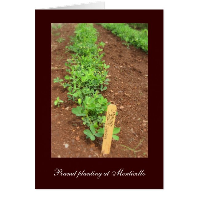 モンティチェロの植物園 (正面)