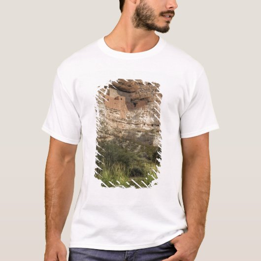 モンテスマ城国定記念物 アリゾナ州 Tシャツ (正面)
