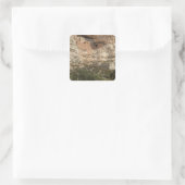 モンテスマ城天然記念物，アリゾナ スクエアシール (バッグ)