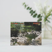 モンテズマホット春 ポストカード (スタンド正面)