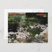モンテズマホット春 ポストカード (正面/裏面)