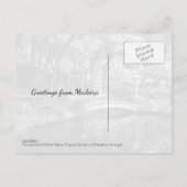 モンテパレストロピカルガーデンズマデイラポルトガル ポストカード (裏面)