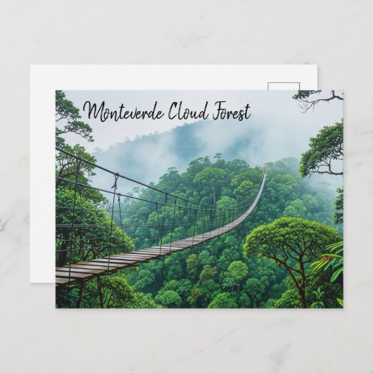 モンテベルデクラウドフォレストコスタリカ旅行 ポストカード (正面/裏面)