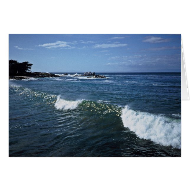 モンテレー湾、カリフォルニア (正面横)