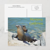 モンテレー カリフォルニア州 ポストカード (正面/裏面)