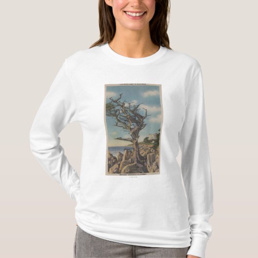 モンテレー、カリフォルニア- 17マイルの古い魔法使いの木 Tシャツ (正面)