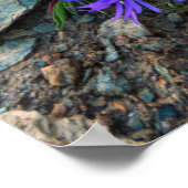 モンテローザ氷河 |スイス ポスター (角)