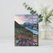 モンテローザ氷河 |スイス ポストカード (スタンド正面)