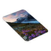 モンテローザ氷河 |スイス マグネット (右側)