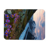 モンテローザ氷河 |スイス マグネット (横)