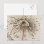 モンテヴェスヴェ ポストカード (正面/裏面)