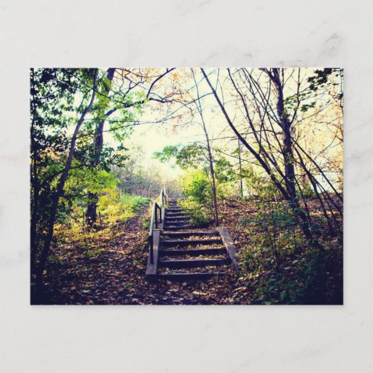 モントオートメ王室のン ポストカード (正面)