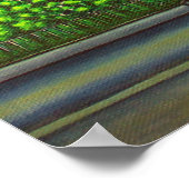 モントリオール色 ポスター (角)