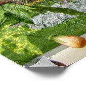 モントルー ポスター (角)