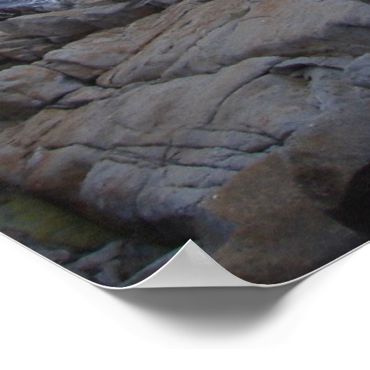 モントレの枯れ木 ポスター (角)