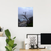 モントレの枯れ木 ポスター (ホームオフィス)