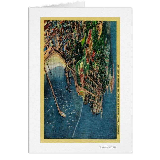 モントレーとプレシドーのエアビュー (正面)