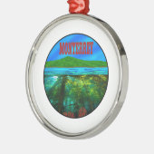 モントレーに行く メタルオーナメント (左)