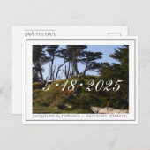 モントレーパインズカリフォルニア日付を保存 案内ポストカード (正面/裏面)