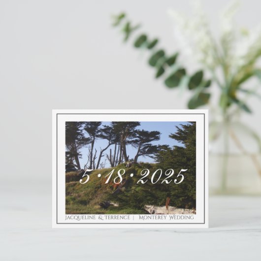 モントレーパインズカリフォルニア日付を保存 案内ポストカード (スタンド正面)