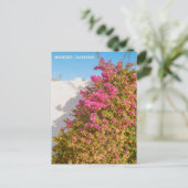 モントレーベイカリフォルニア |フィルム写真 |ワーフ ポストカード (スタンド正面)