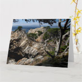 モントレーベイジャンボグリーティングカード カード (黄色い花)