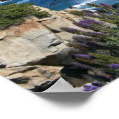 モントレーベイ海岸線、春写真 ポスター (角)