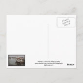 モントレー星 ポストカード (裏面)