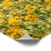 モントレー春 ポスター (角)