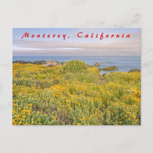 モントレー春 ポストカード (正面)