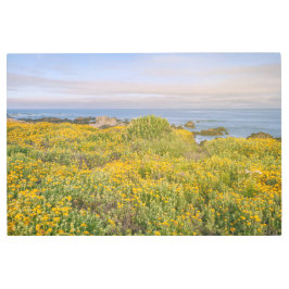 モントレー春 メタルプリント