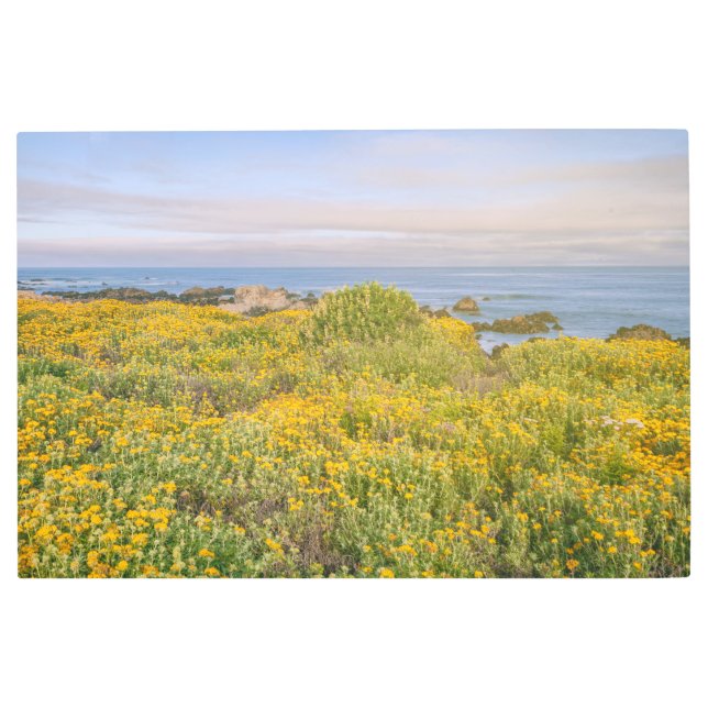 モントレー春 メタルプリント (正面)