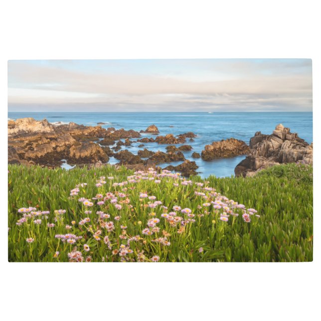 モントレー春 メタルプリント (正面)