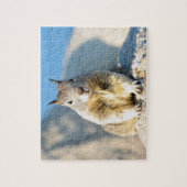 モントレー湾,カリフォルニア ジグソーパズル (縦)